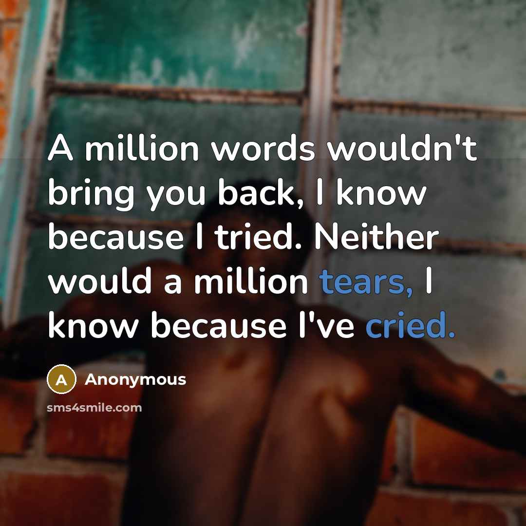 “A million words wouldn't bring you back, I know because I tried. Neither would a million tears, I know because I've cried.” quote by Anonymous