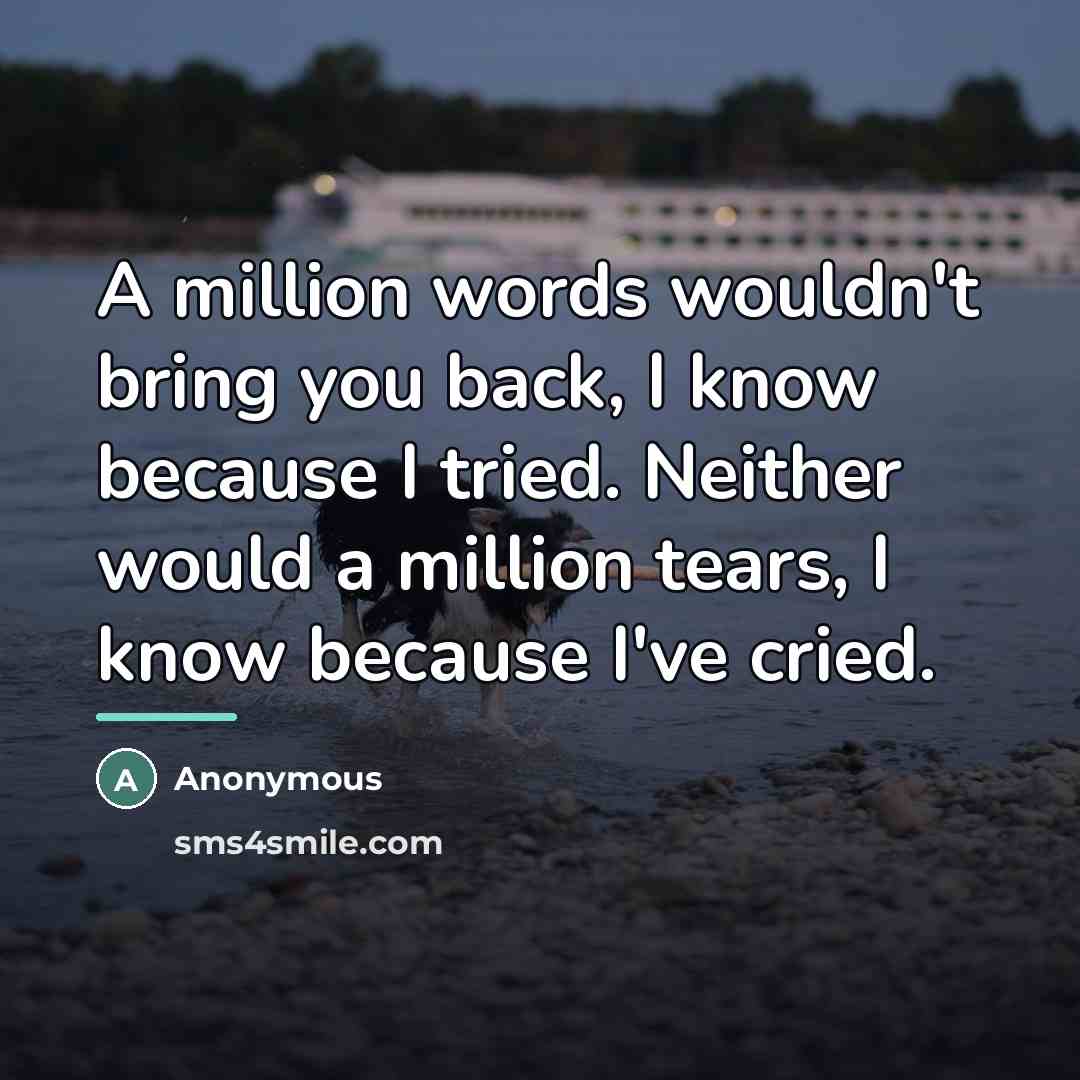“A million words wouldn't bring you back, I know because…” quote by Anonymous