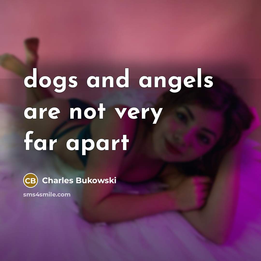 “dogs and angels are not very far apart…” quote by Charles Bukowski
