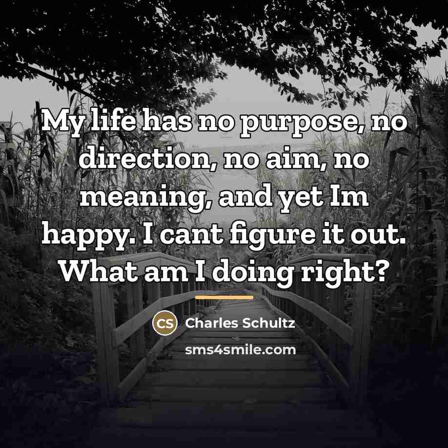 “My life has no purpose, no direction, no aim, no…” quote by Charles Schultz
