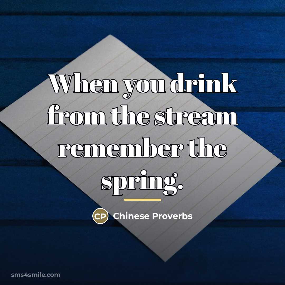 “When you drink from the stream remember the spring.…” quote by Chinese Proverbs