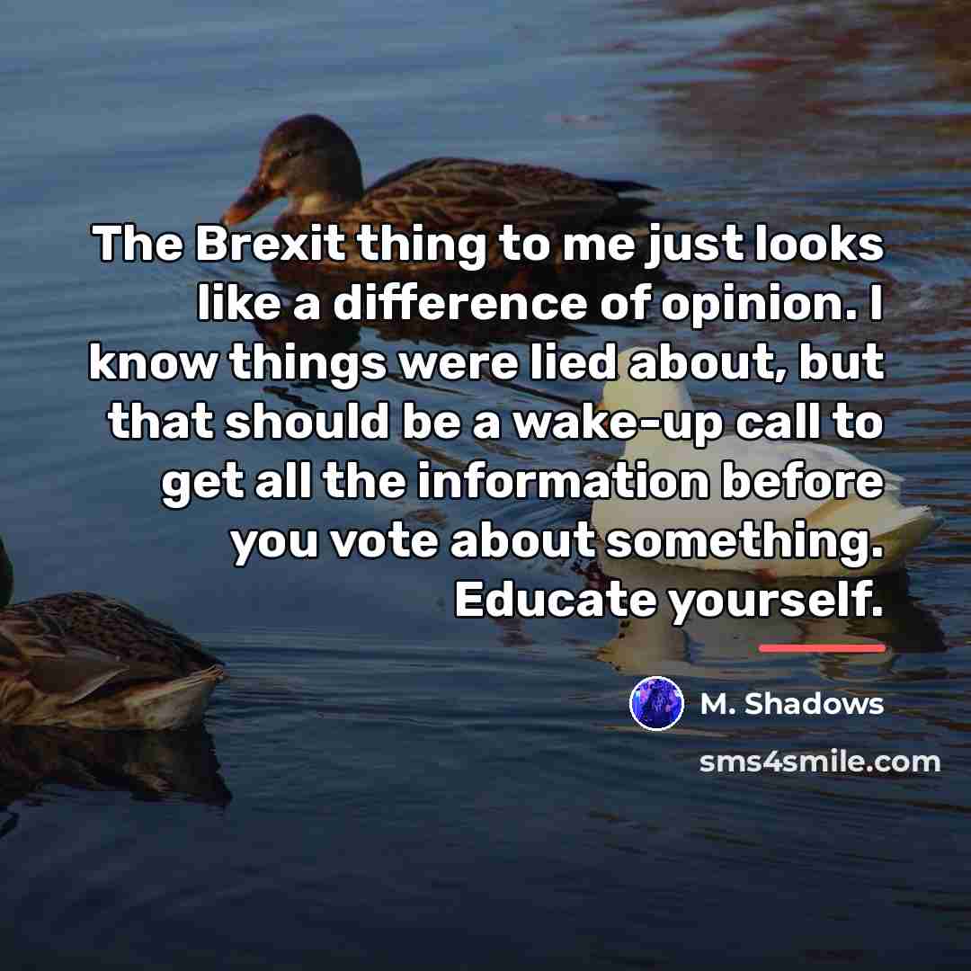 “The Brexit thing to me just looks like a difference…” quote by M. Shadows