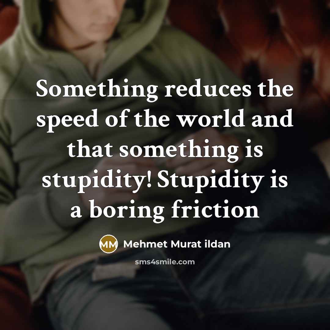 “Something reduces the speed of the world and that something…” quote by Mehmet Murat Ildan