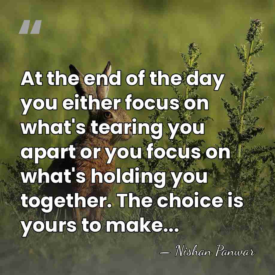 At the end of the day you either focus on what's tearing&hellip; - Nishan Panwar