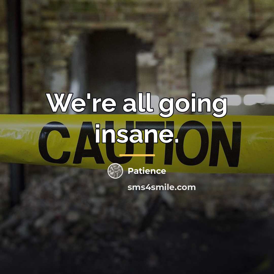 “We're all going insane.…” quote by Patience