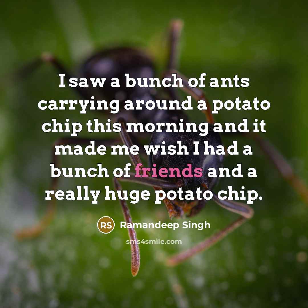 “I saw a bunch of ants carrying around a potato chip this morning and it made me wish I had a bunch of friends and a really huge potato chip.” quote by Ramandeep Singh