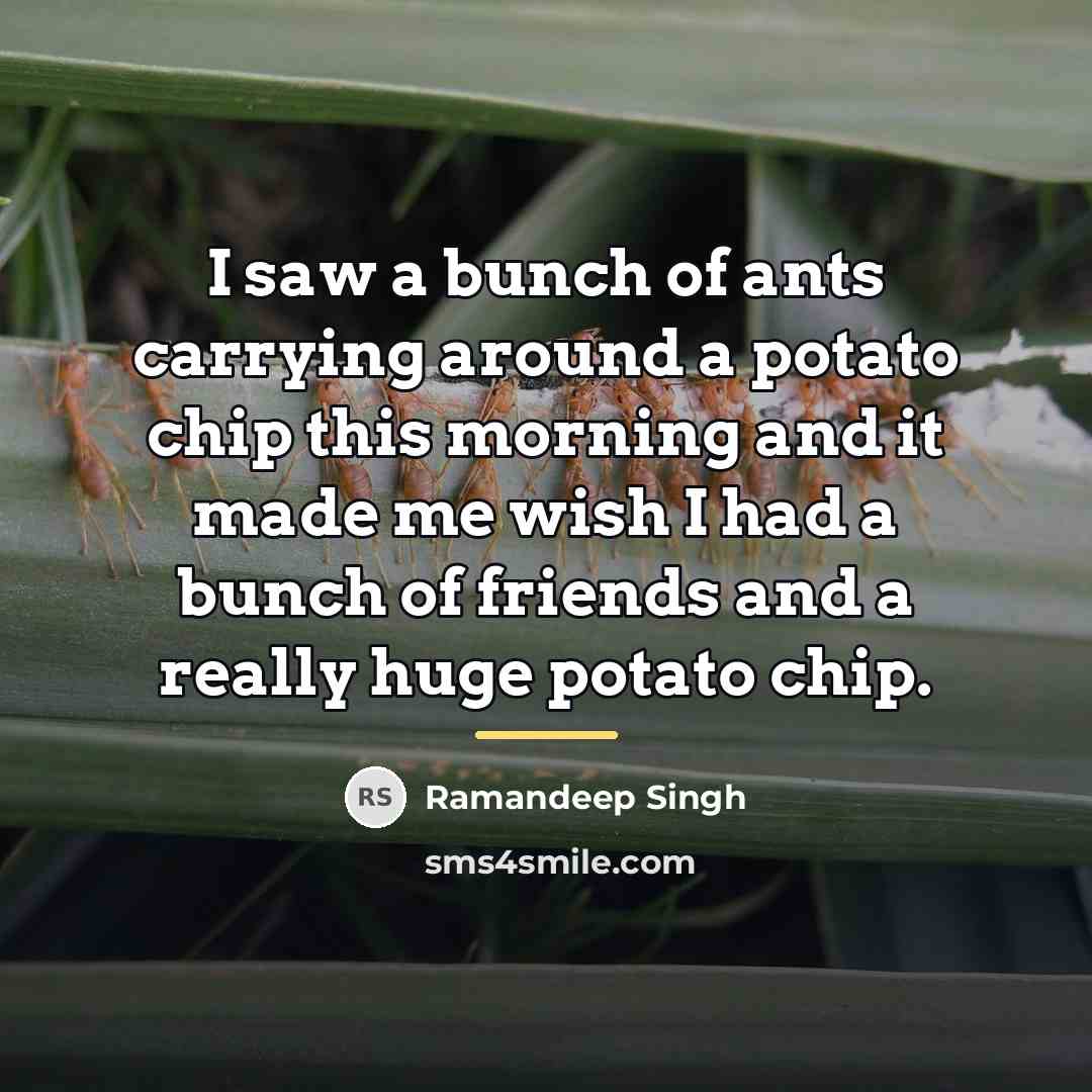 “I saw a bunch of ants carrying around a potato…” quote by Ramandeep Singh