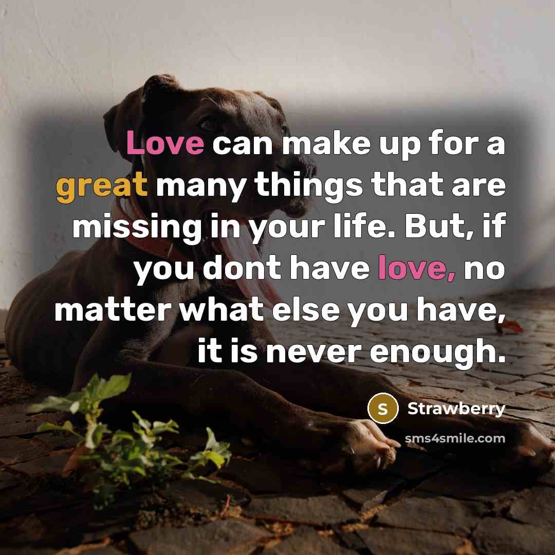 “Love can make up for a great many things that are missing in your life. But, if you dont have love, no matter what else you have, it is never enough.” quote by Strawberry