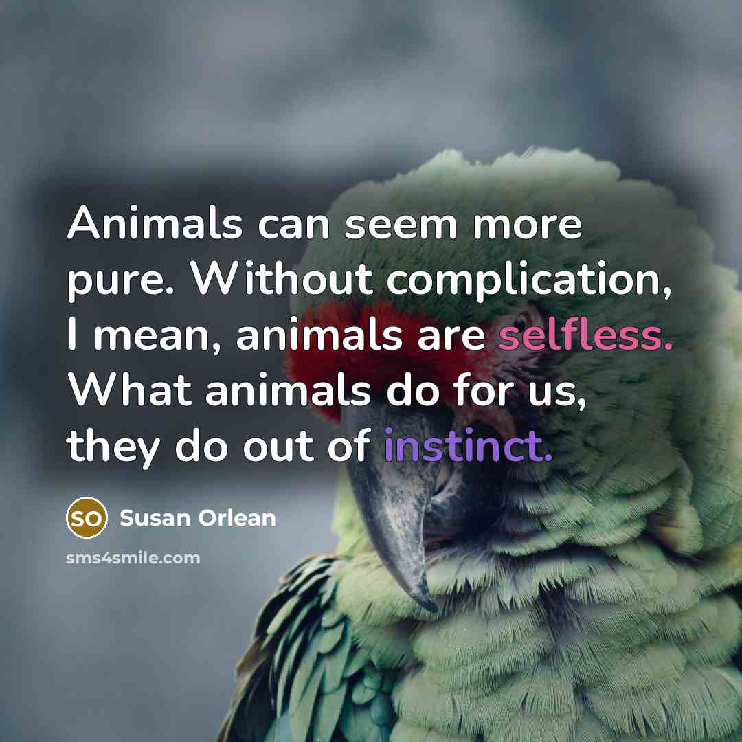 “Animals can seem more pure. Without complication, I mean, animals…” quote by Susan Orlean