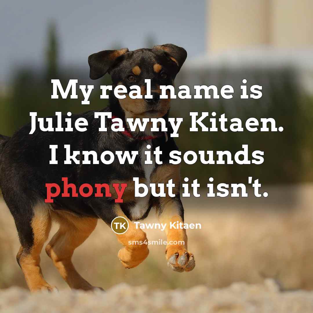 “My real name is Julie Tawny Kitaen. I know it…” quote by Tawny Kitaen