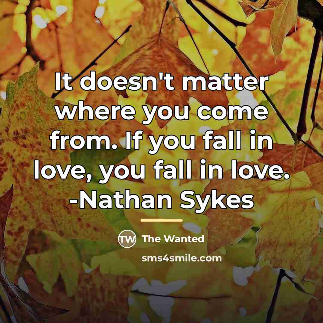 “It doesn't matter where you come from. If you fall…” quote by The Wanted