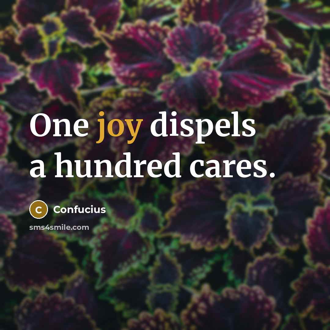 “One joy dispels a hundred cares.…” quote by Confucius
