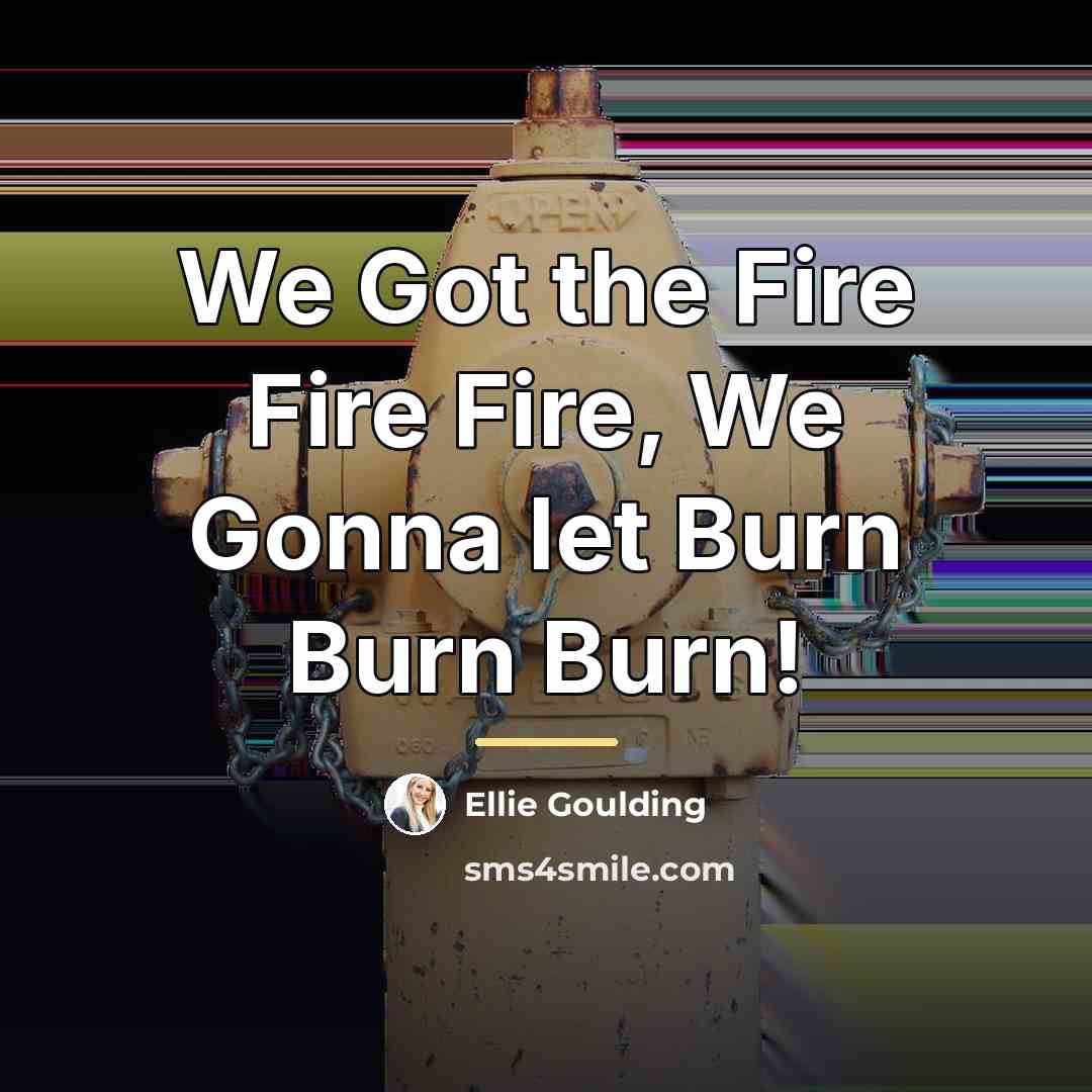 “We Got the Fire Fire Fire, We Gonna let Burn…” quote by Ellie Goulding