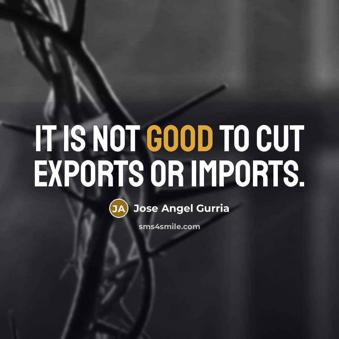 “It is not good to cut exports or imports.…” quote by Jose Angel Gurria