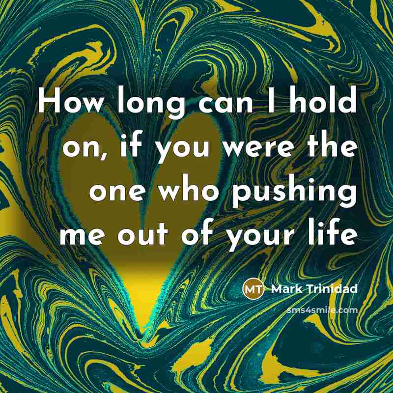 “How long can I hold on, if you were the one who pushing me out of your life” quote by Mark Trinidad