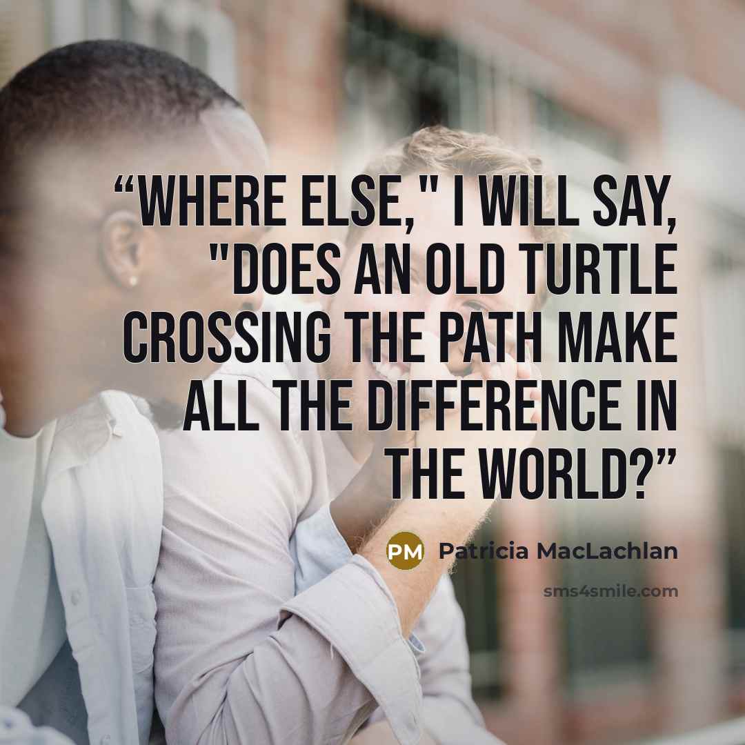 “Where else," I will say, "does an old turtle crossing the path Make all the difference in the world?” quote by Patricia MacLachlan