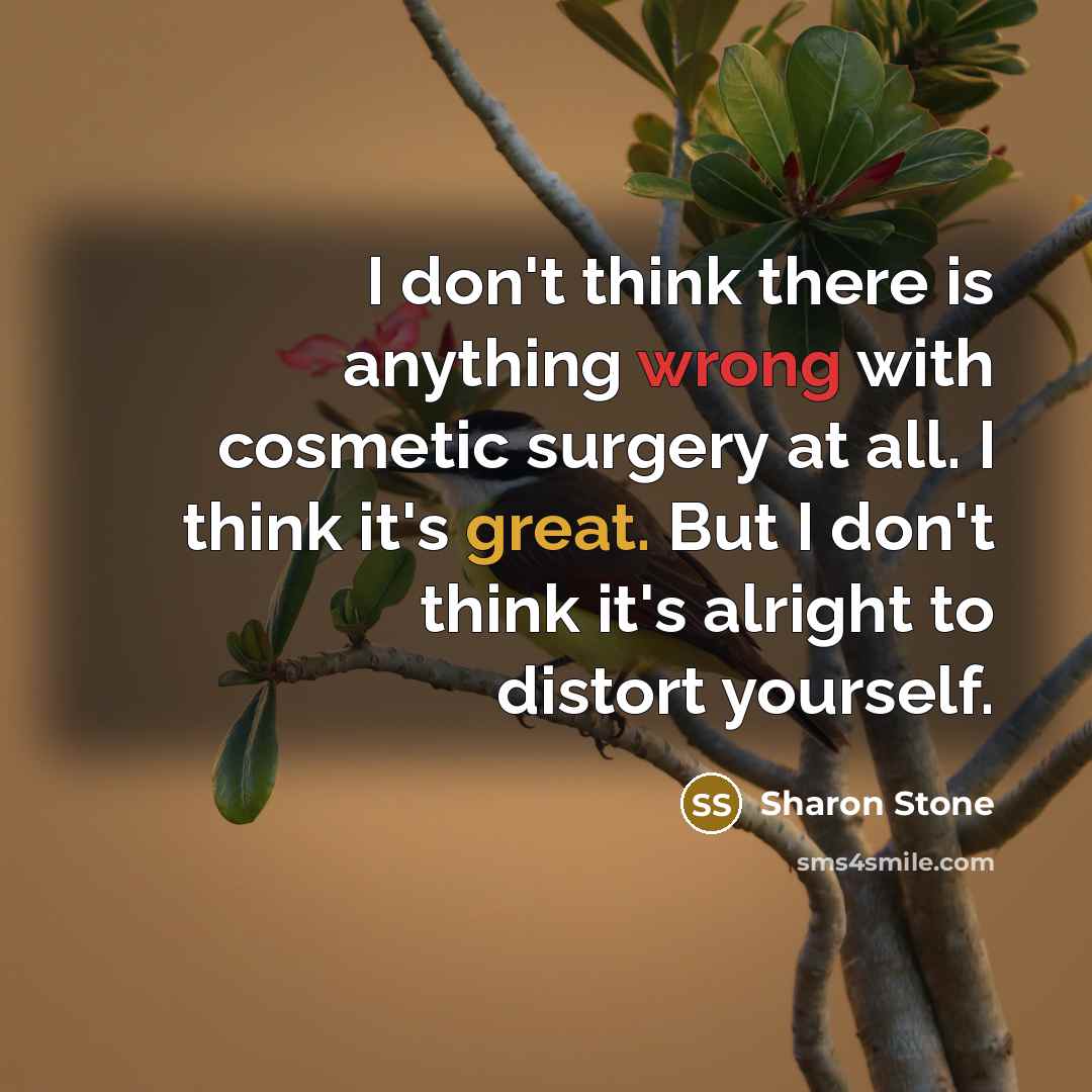 “I don't think there is anything wrong with cosmetic surgery…” quote by Sharon Stone