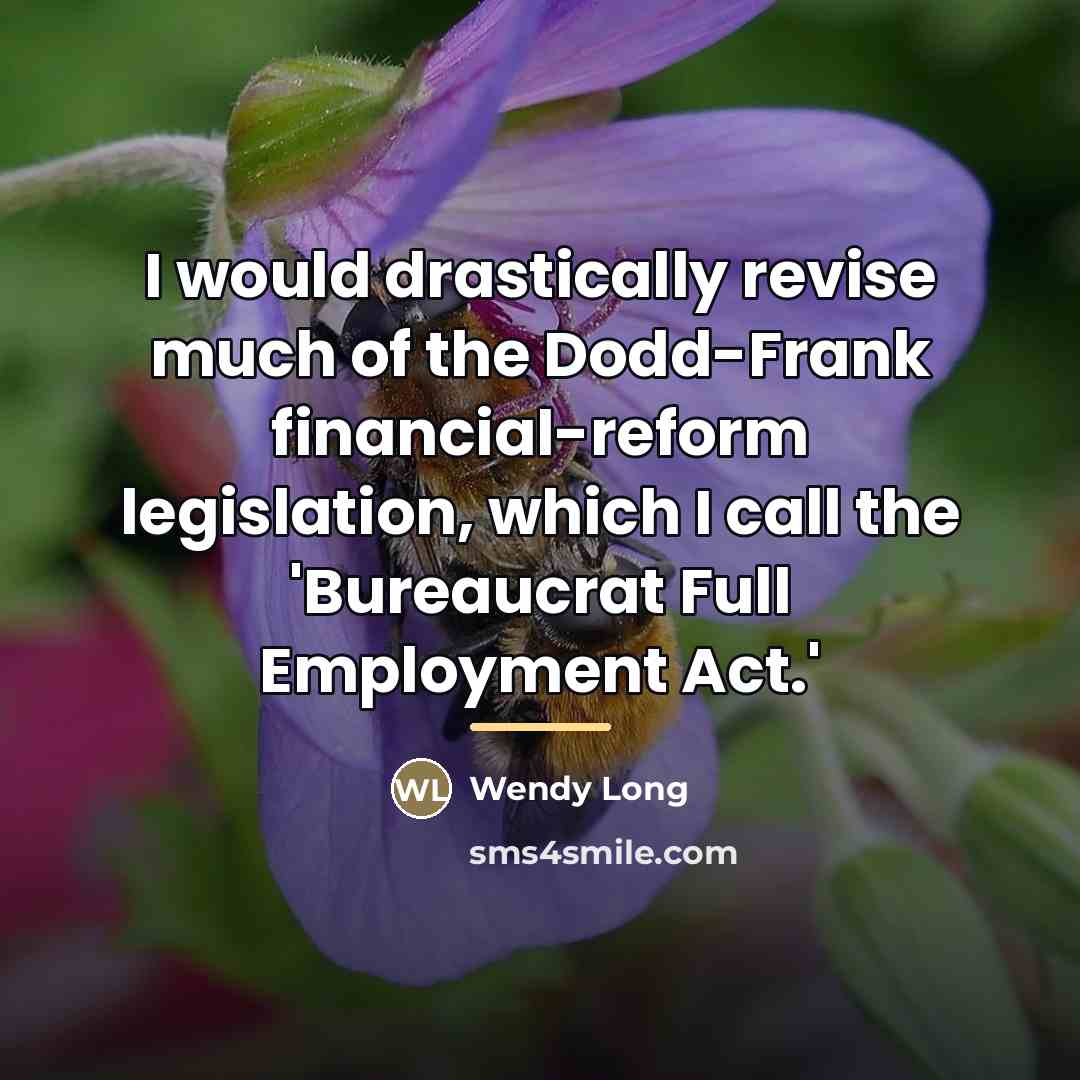 “I would drastically revise much of the Dodd-Frank financial-reform legislation,…” quote by Wendy Long