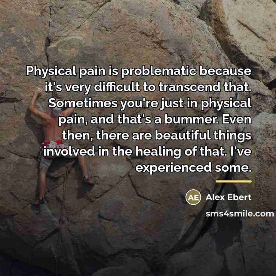 “Physical pain is problematic because it's very difficult to transcend…” quote by Alex Ebert