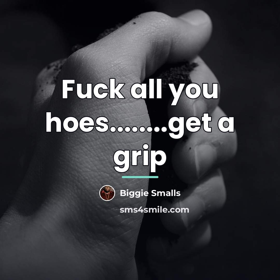 “Fuck all you hoes........get a grip…” quote by Biggie Smalls