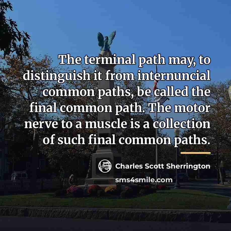 “The terminal path may, to distinguish it from internuncial common…” quote by Charles Scott Sherrington