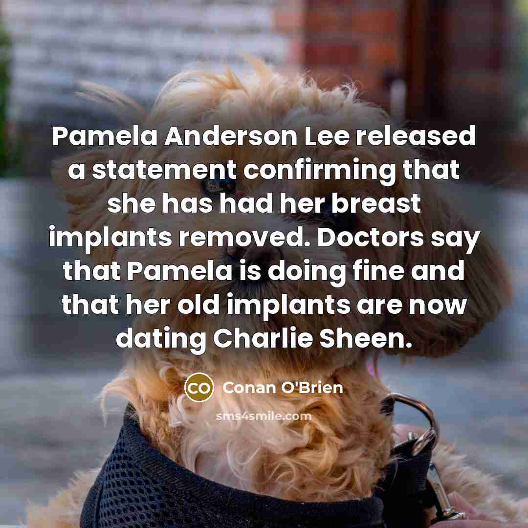 “Pamela Anderson Lee released a statement confirming that she has had her breast implants removed. Doctors say that Pamela is doing fine and that her old implants are now dating Charlie Sheen.” quote by Conan O'Brien