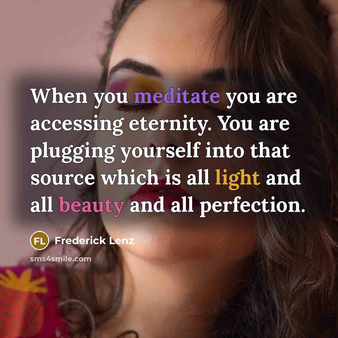 “When you meditate you are accessing eternity. You are plugging…” quote by Frederick Lenz