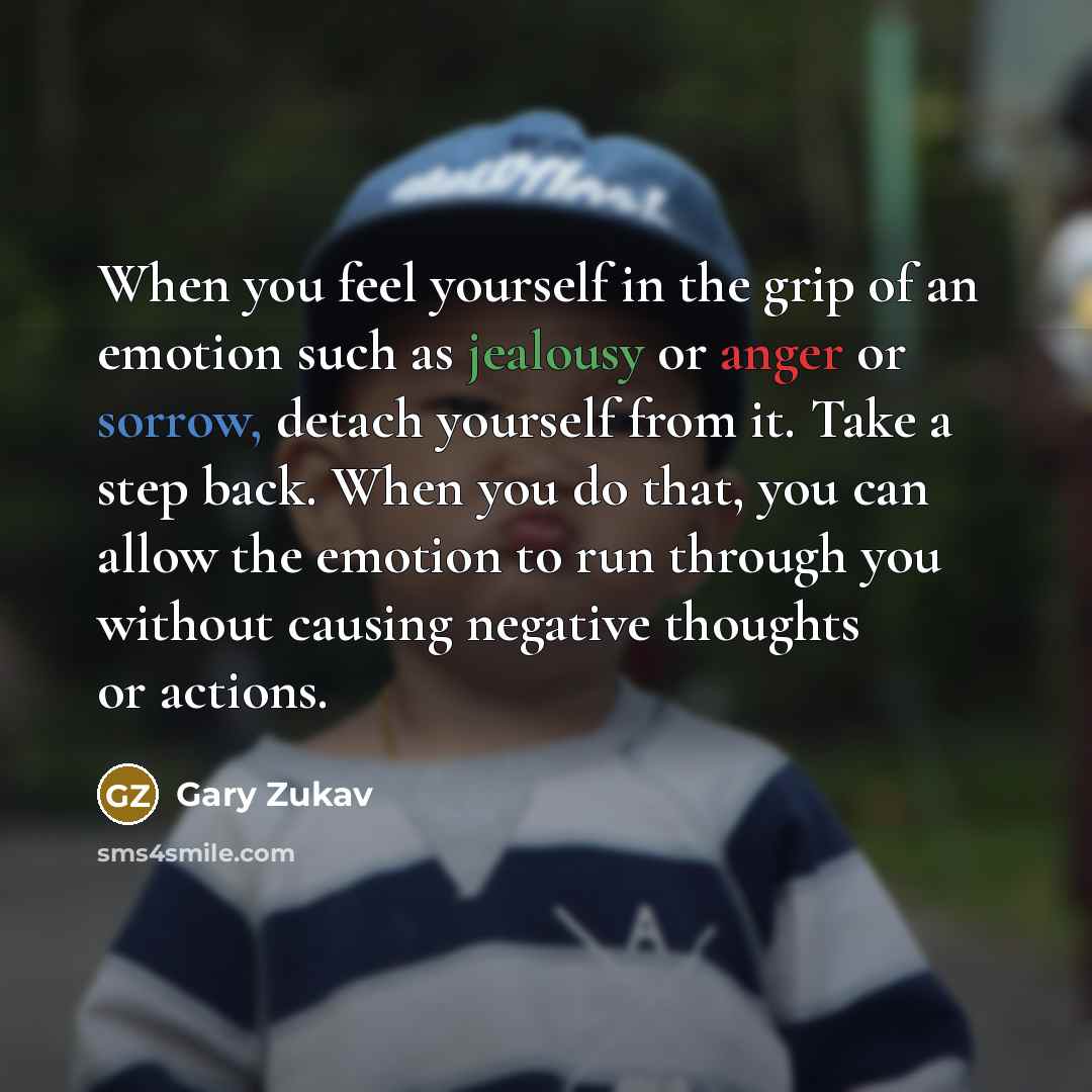 “When you feel yourself in the grip of an emotion…” quote by Gary Zukav