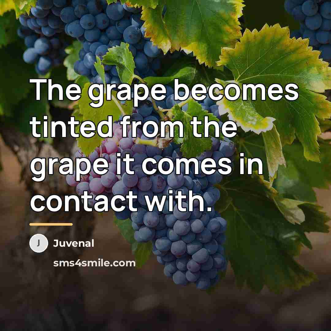 “The grape becomes tinted from the grape it comes in…” quote by Juvenal