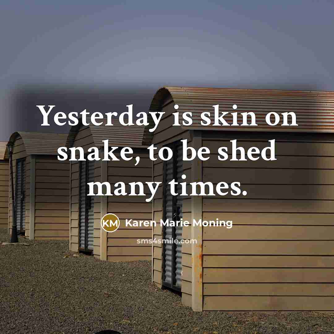 “Yesterday is skin on snake, to be shed many times.…” quote by Karen Marie Moning