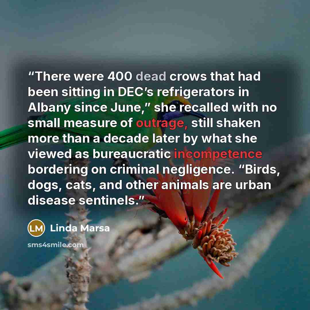 “There were 400 dead crows that had been sitting in DEC’s refrigerators in Albany since June,” she recalled with no small measure of outrage, still shaken more than a decade later by what she viewed as bureaucratic incompetence bordering on criminal negligence. “Birds, dogs, cats, and other animals…” quote by Linda Marsa