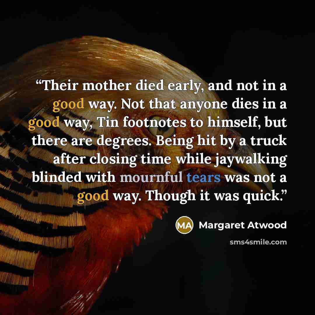 “Their mother died early, and not in a good way. Not that anyone dies in a good way, Tin footnotes to himself, but there are degrees. Being hit by a truck after closing time while jaywalking blinded with mournful tears was not a good way. Though it was quick.” quote by Margaret Atwood