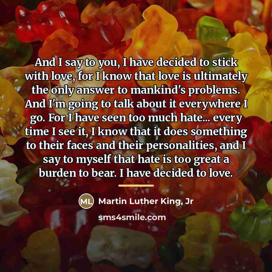 “And I say to you, I have decided to stick…” quote by Martin Luther King, Jr
