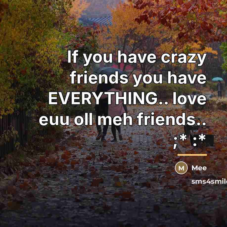 “If you have crazy friends you have EVERYTHING.. love euu…” quote by Mee