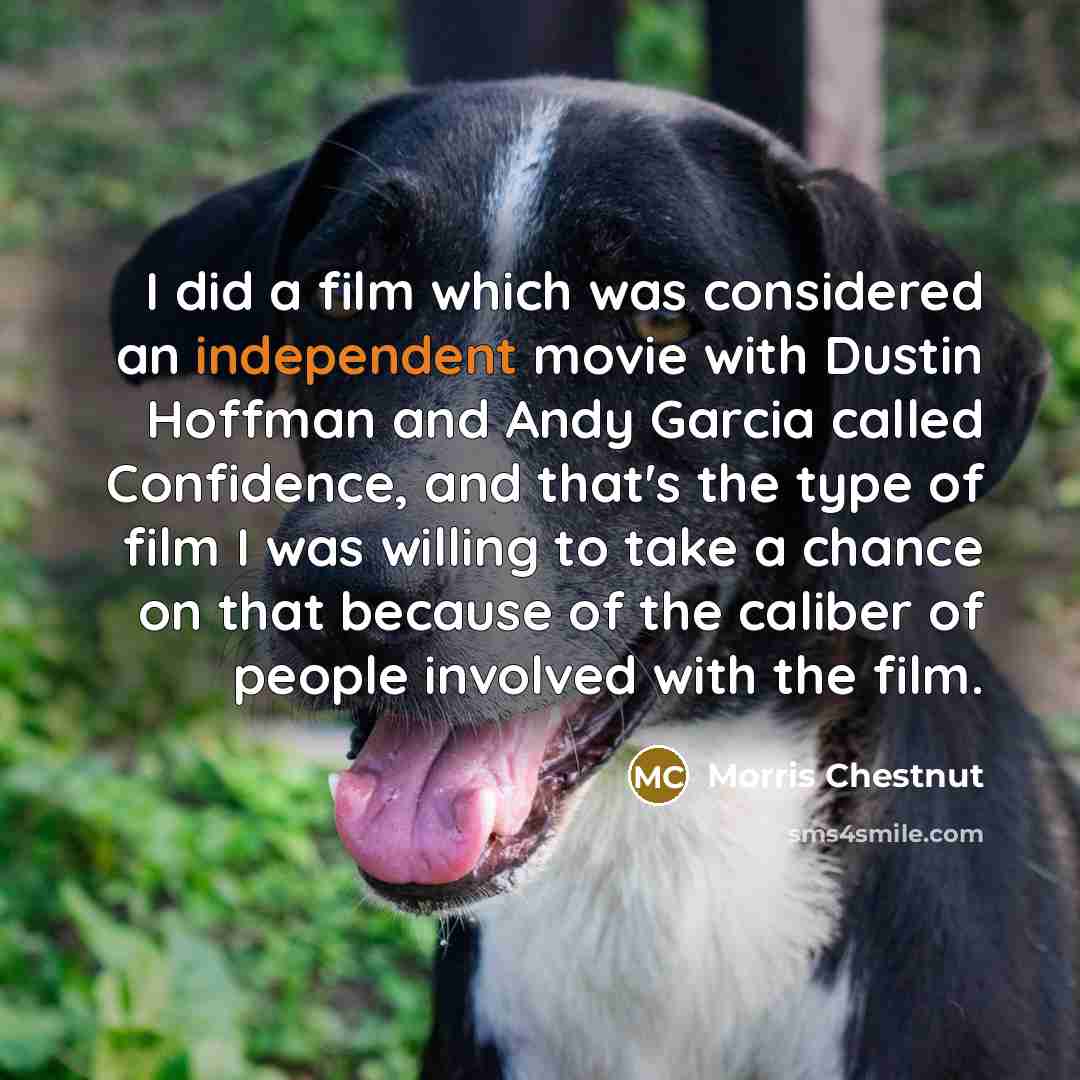 “I did a film which was considered an independent movie…” quote by Morris Chestnut