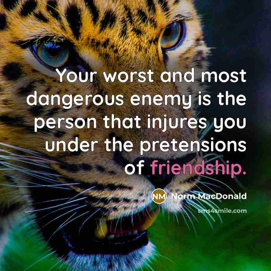 “Your worst and most dangerous enemy is the person that…” quote by Norm MacDonald