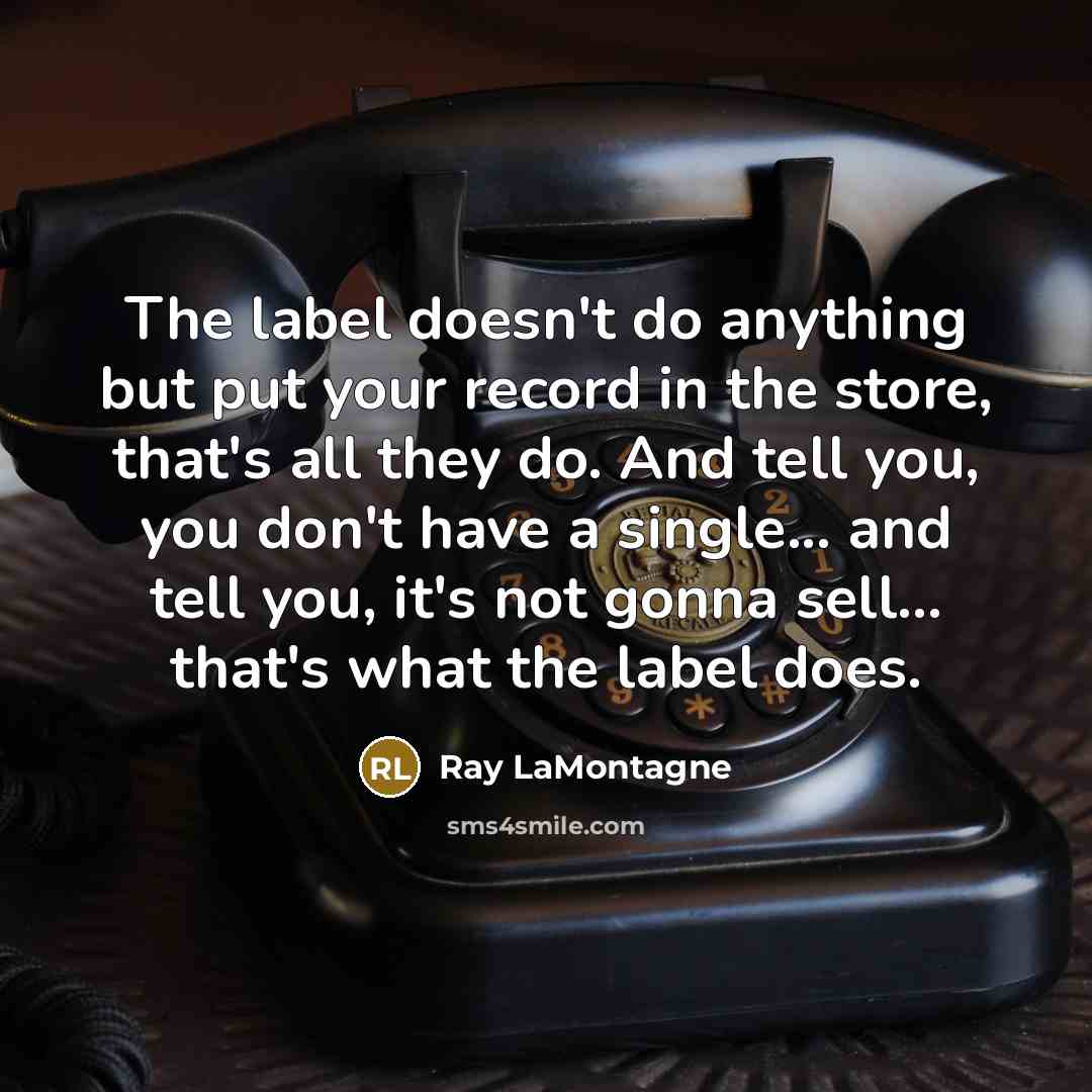 “The label doesn't do anything but put your record in…” quote by Ray LaMontagne
