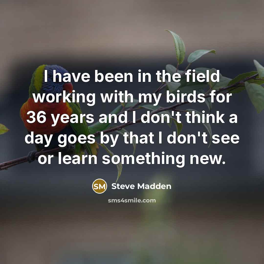 “I have been in the field working with my birds…” quote by Steve Madden
