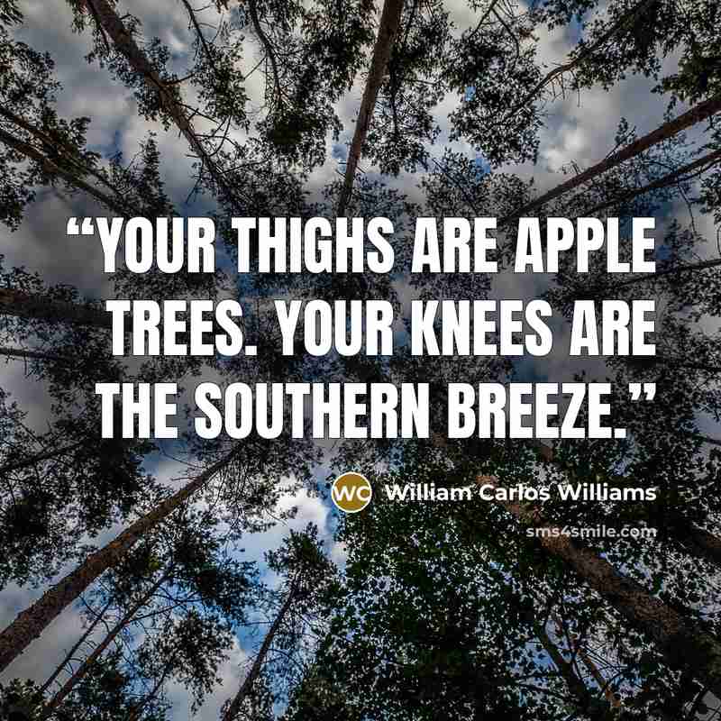 “Your thighs are apple trees. Your knees are the southern breeze.” quote by William Carlos Williams