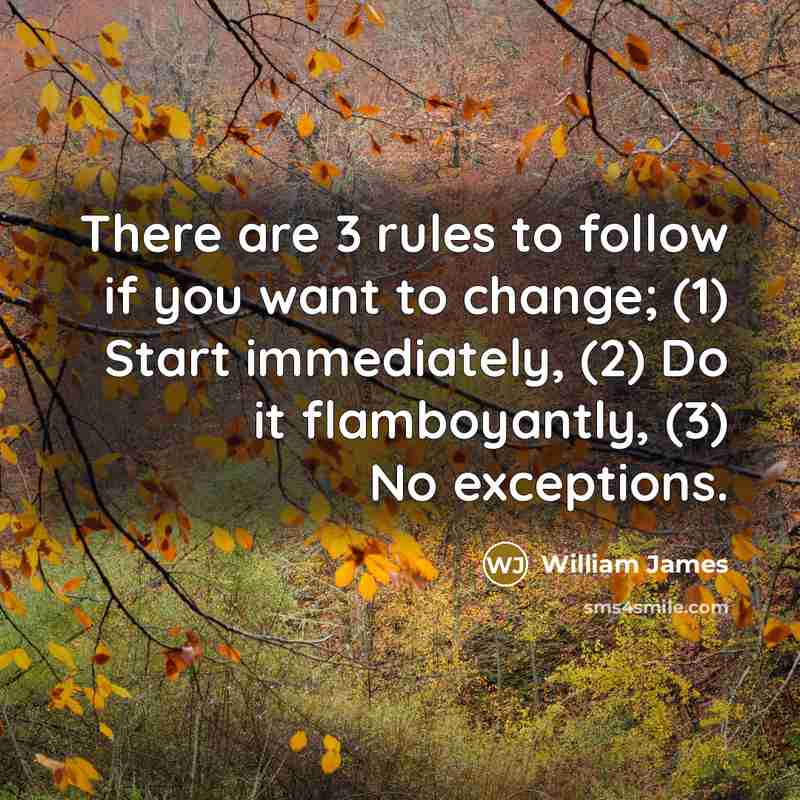 “There are 3 rules to follow if you want to change; (1) Start immediately, (2) Do it flamboyantly, (3) No exceptions.” quote by William James