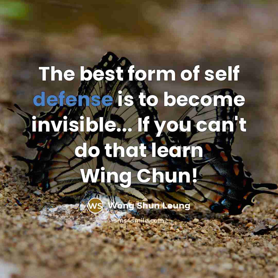 “The best form of self defense is to become invisible...…” quote by Wong Shun Leung