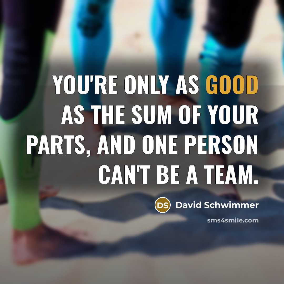 “You're only as good as the sum of your parts, and one person can't be a team.” quote by David Schwimmer