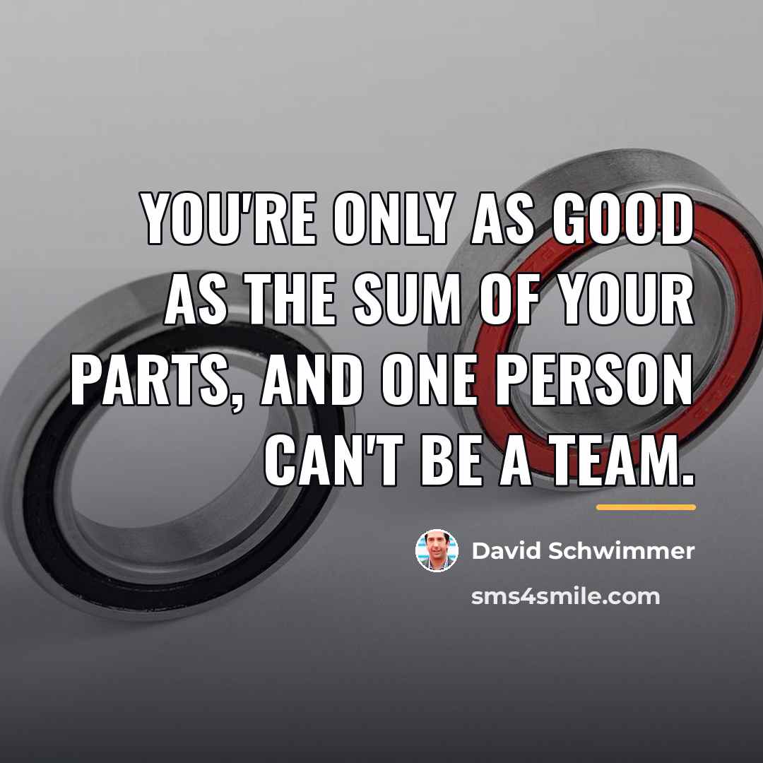 “You're only as good as the sum of your parts,…” quote by David Schwimmer