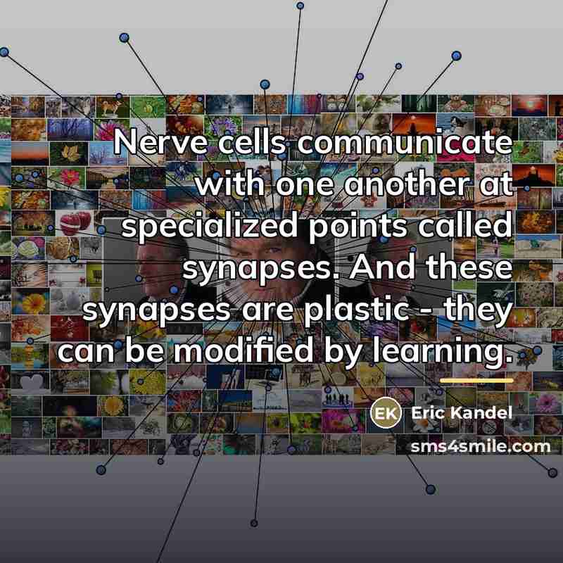 “Nerve cells communicate with one another at specialized points called…” quote by Eric Kandel