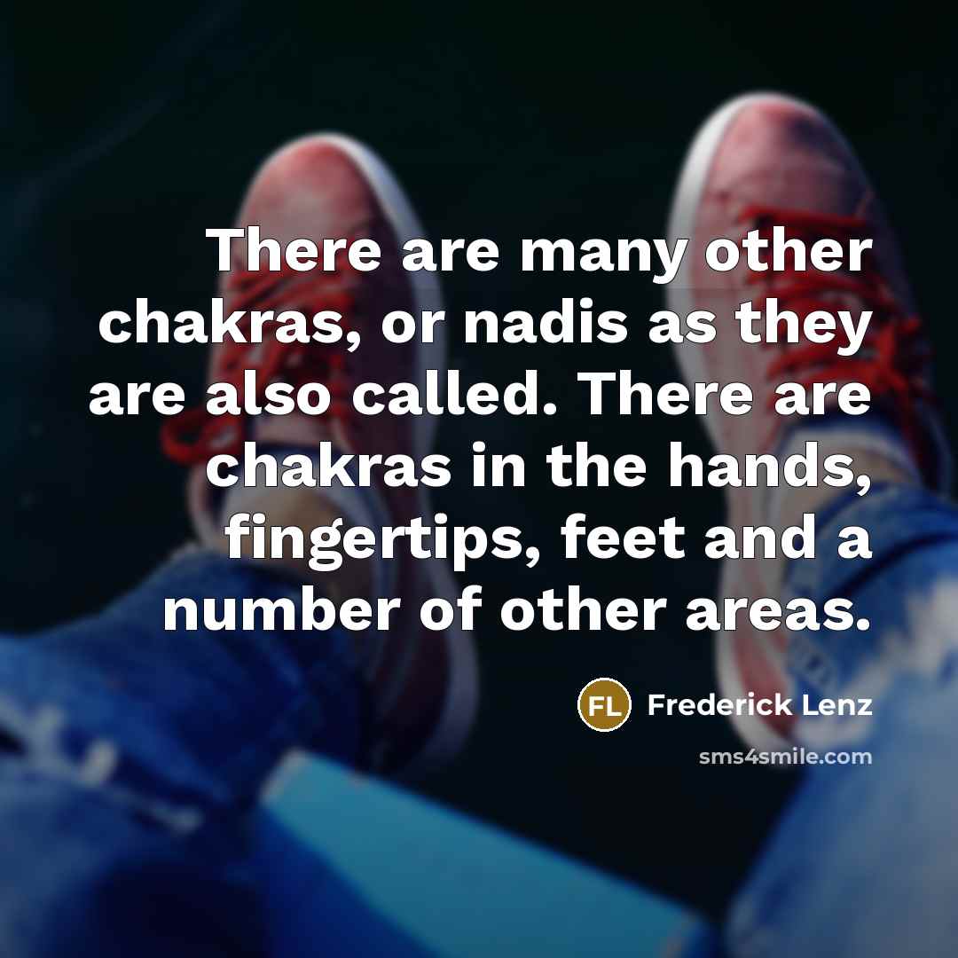 “There are many other chakras, or nadis as they are…” quote by Frederick Lenz