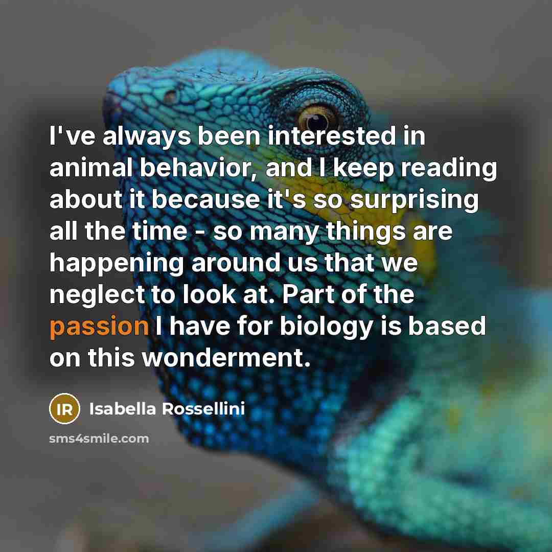 “I've always been interested in animal behavior, and I keep…” quote by Isabella Rossellini
