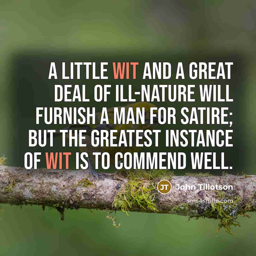 “A little wit and a great deal of ill-nature will…” quote by John Tillotson