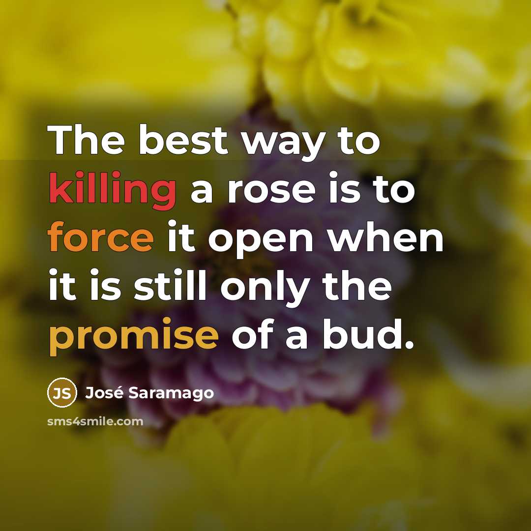 “The best way to killing a rose is to force…” quote by Jose Saramago