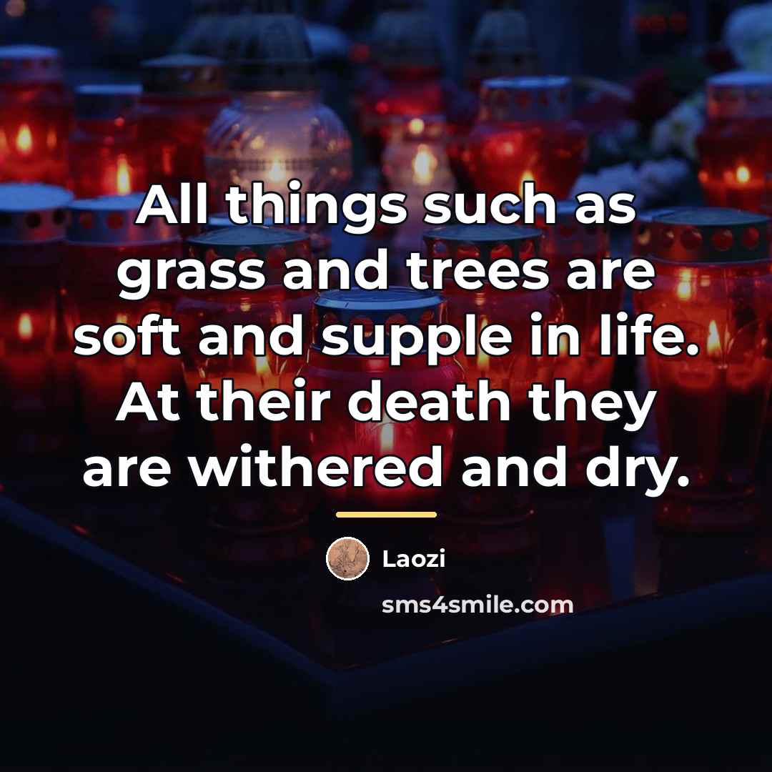 “All things such as grass and trees are soft and…” quote by Laozi