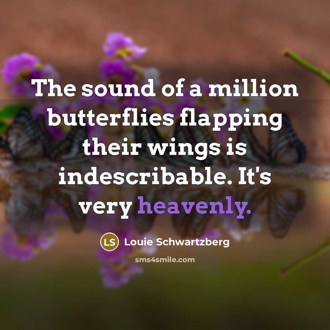 “The sound of a million butterflies flapping their wings is…” quote by Louie Schwartzberg